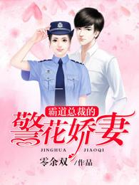 霸道总裁遇上男警官