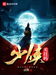 少侠挂个机6个兑换码